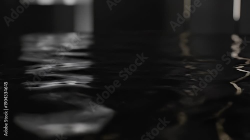 Dark, rippling water surface reflecting indistinct shapes in a mysterious, low-light environment.