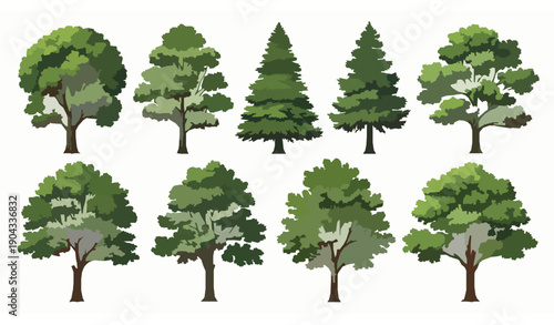 Realistic green tree species vector collection isolated for landscape architecture and urban planning projects