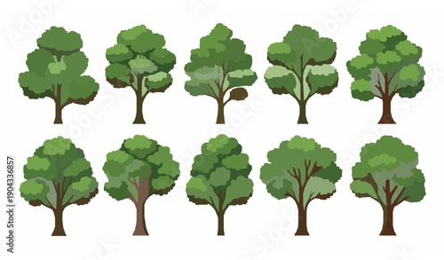 Green deciduous trees collection flat vector illustration isolated for landscape and environmental design