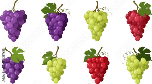 Assorted bunches of purple, green, and red grapes with leaves