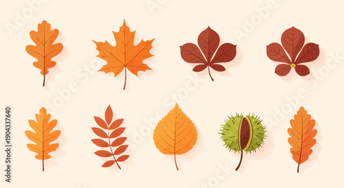 Assorted autumn leaves and a spiky fruit in warm fall colors