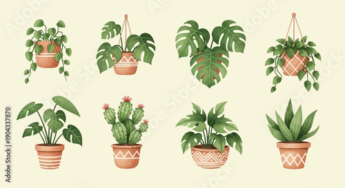 Assortment of potted and hanging houseplants with decorative pots