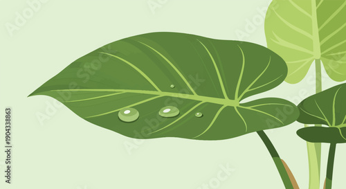 Close-up of green leaves with glistening dew drops on a light green background