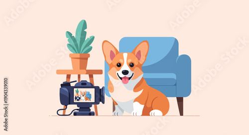 Cheerful corgi poses for camera recording in a cozy living room setting