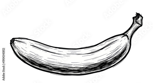 Hand-drawn sketch of a banana on a white background. Simple, organic illustration.