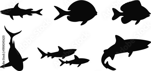 Set of fish and shark silhouettes collection, underwater marine animals in different shapes, black sea creature icons isolated on white background illustration.