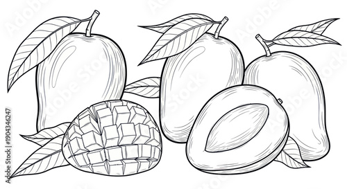 Hand-drawn Mangoes Illustration: Whole, Sliced, and Diced Fruit with Leaves