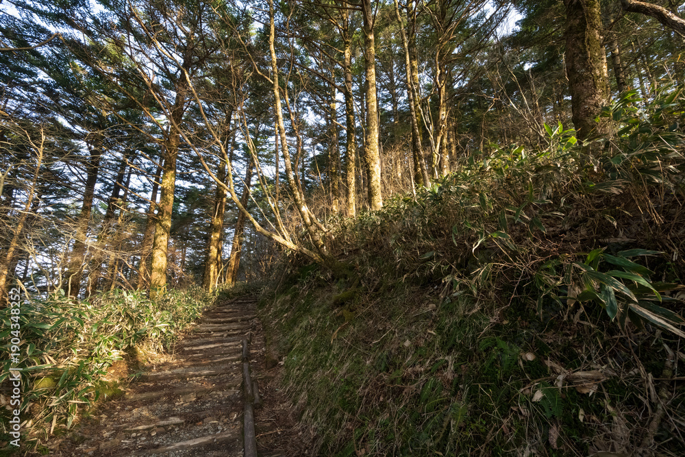 Obraz premium Climbing Mt. Ishizuchi, Ehime, Japan