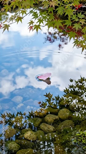 Petal Drops Creating Ripples on Serene Water Surface