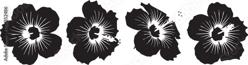 Four black and white hibiscus flowers with detailed stamens on a Transparent Background, floral design elements.