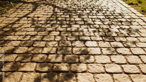 Sunlit Cobblestone Path With Dappled Tree Shadows