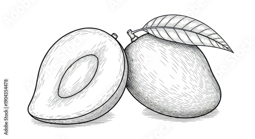 Hand-drawn sketch of a whole mango and a halved mango with a leaf on white background