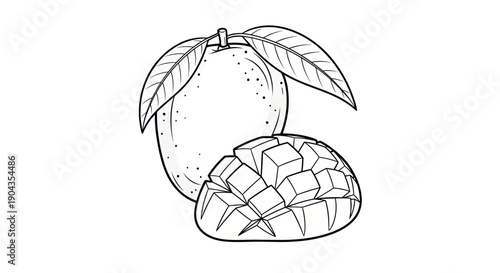 Mango Fruit Outline Drawing - Whole and Sliced