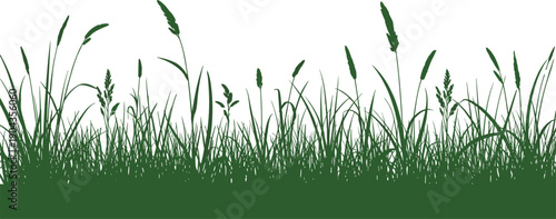 WebHorizontal Green Silhouette Vector Illustration of Meadow Grass and Wild Plants for Nature Landscape Background Environmental Conservation and Outdoor Garden Graphic Designs