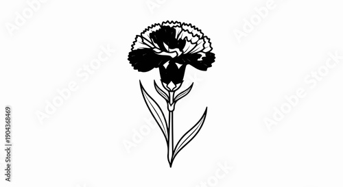 A black and white illustration of a single carnation with frilled petals