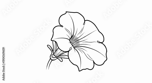 A black and white outline sketch of a flowering plant