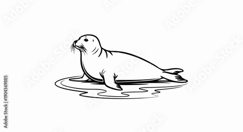 A black and white sketch of a seal resting on ice