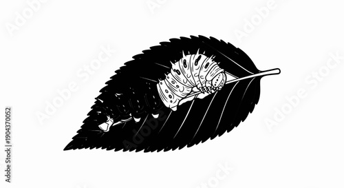 A caterpillar with segmented body and spines rests on a serrated leaf