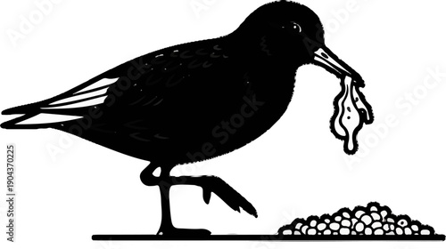 A black bird with white speckled feathers holds a dripping substance in its beak, near a pile of eggs