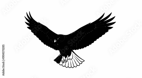 A black bird with wide wingspan in flight, white tail feathers