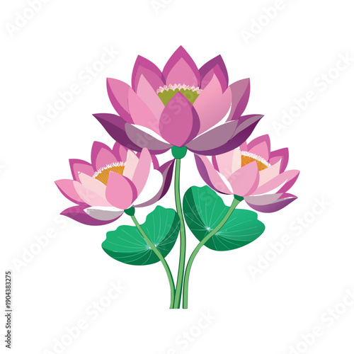 A pink lotus flower with layered petals, green leaves,
