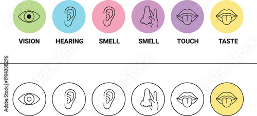 Five senses icon set with vision hearing smell touch and taste symbols colorful educational vector illustrations isolated
