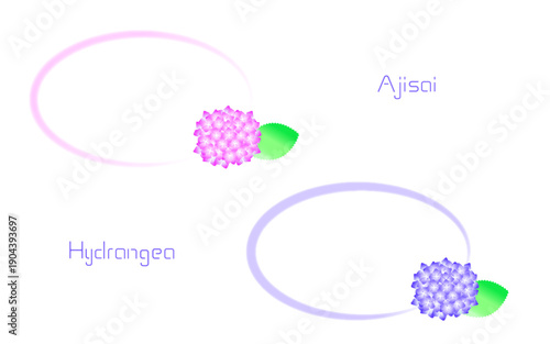 紫陽花のフレームセット。青とピンクの紫陽花。