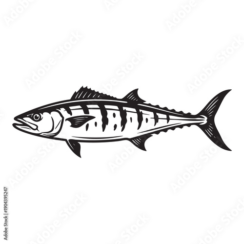 A detailed line art illustration of a Mackerel showcases its sleek, streamlined body and distinctive markings. The image captures the essence of this popular seafood.