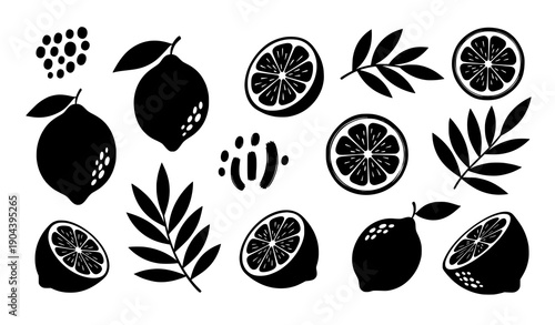 Abstract hand drawn lemon fruit and branch silhouette icons collection isolated on white background