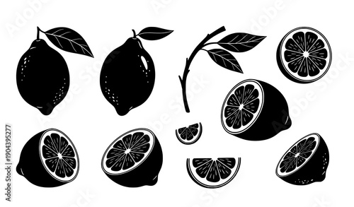 Hand drawn abstract lemon silhouettes set with whole sliced fruits and branches isolated on white background