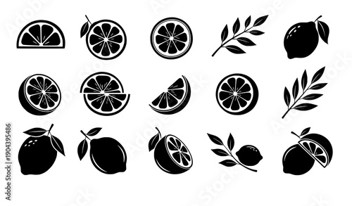 Hand drawn artistic lemon silhouettes with fruits slices and leafy branches isolated on white background