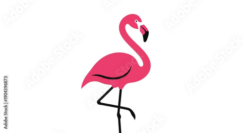 Pink flamingo standing isolated on white background bird silhouette animal illustration