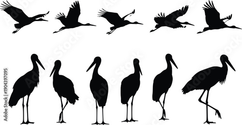 Collection of stork and crane bird silhouette icons in flying and standing poses, elegant wildlife vector set for nature logos, decorations, and designs