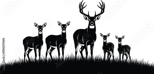 Deer family silhouette with stag, doe and fawns standing in grass, black wildlife vector illustration for forest logos, hunting designs and nature graphics