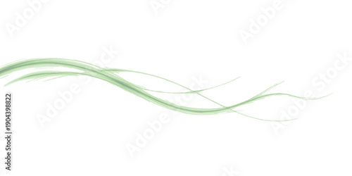 A delicate light green abstract wavy line flourish on a clean white background, creating a minimalist border effect.