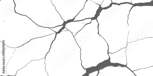 A detailed view of a branching crack pattern on a plain white surface, suggesting damage or decay
