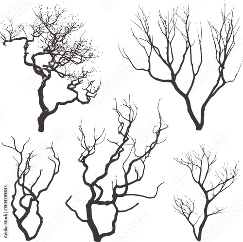 Five monochrome artistic bare tree branches silhouettes