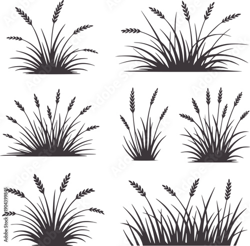 Minimalist black and line wheat grass clusters grain plant nature