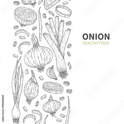 Onion, leek, onion rings and slices. Vertical border. Sketch. Doodle. Fresh, organic vegetables. Healthy food. Herbs, fragrant spices. Poster. Vector illustration.