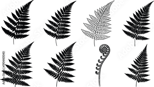 Fern leaf silhouette vector collection with botanical foliage shapes, black nature illustration for floral design, tropical decor, plant logos and woodland graphics set
