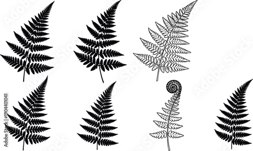 Fern leaf silhouette vector set featuring botanical foliage shapes, black nature illustration for floral design, tropical decor, plant logos and woodland graphics collection