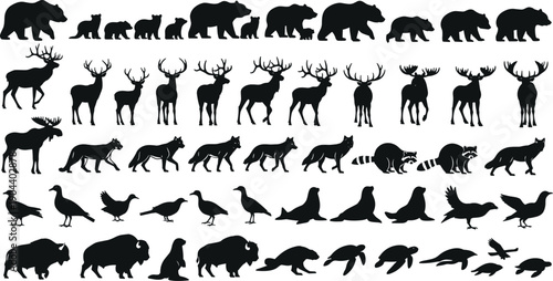 Large collection of black wildlife silhouettes featuring bears deer moose wolves raccoons birds seals bison and sea turtles isolated on white background for nature design projects