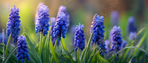 Vibrant blue flowers stand tall in a green landscape. These fresh blossoms bring life to any setting. Perfect for nature lovers and floral enthusiasts. Explore their beauty in detail. AI