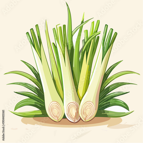 Fresh lemongrass stalks with green leaves, standing on a beige surface, viewed from the front in a clean and simple composition