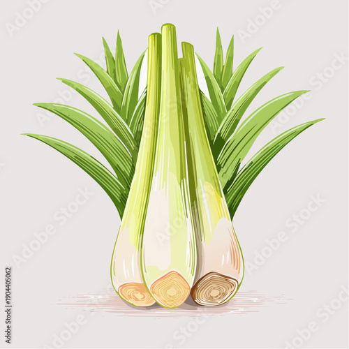 Three stalks of lemongrass standing upright with green leaves surrounding them in a clean and simple illustration