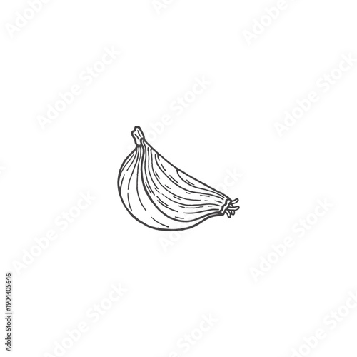 A quarter of an onion, a slice. Sketch. Doodle. Fresh, organic vegetables. Healthy food. Herbs, fragrant spices. Vector illustration isolated on white background.