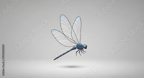 Dragonfly insect with transparent wings flying against gray background with shadow
