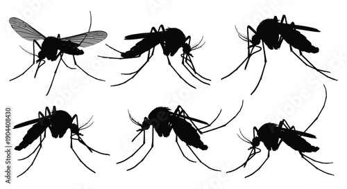 Mosquito silhouettes in various poses against a white background