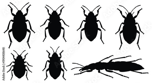 Insect silhouettes including shield bugs and larvae forms