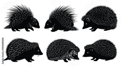 Hedgehog silhouettes walking in various directions